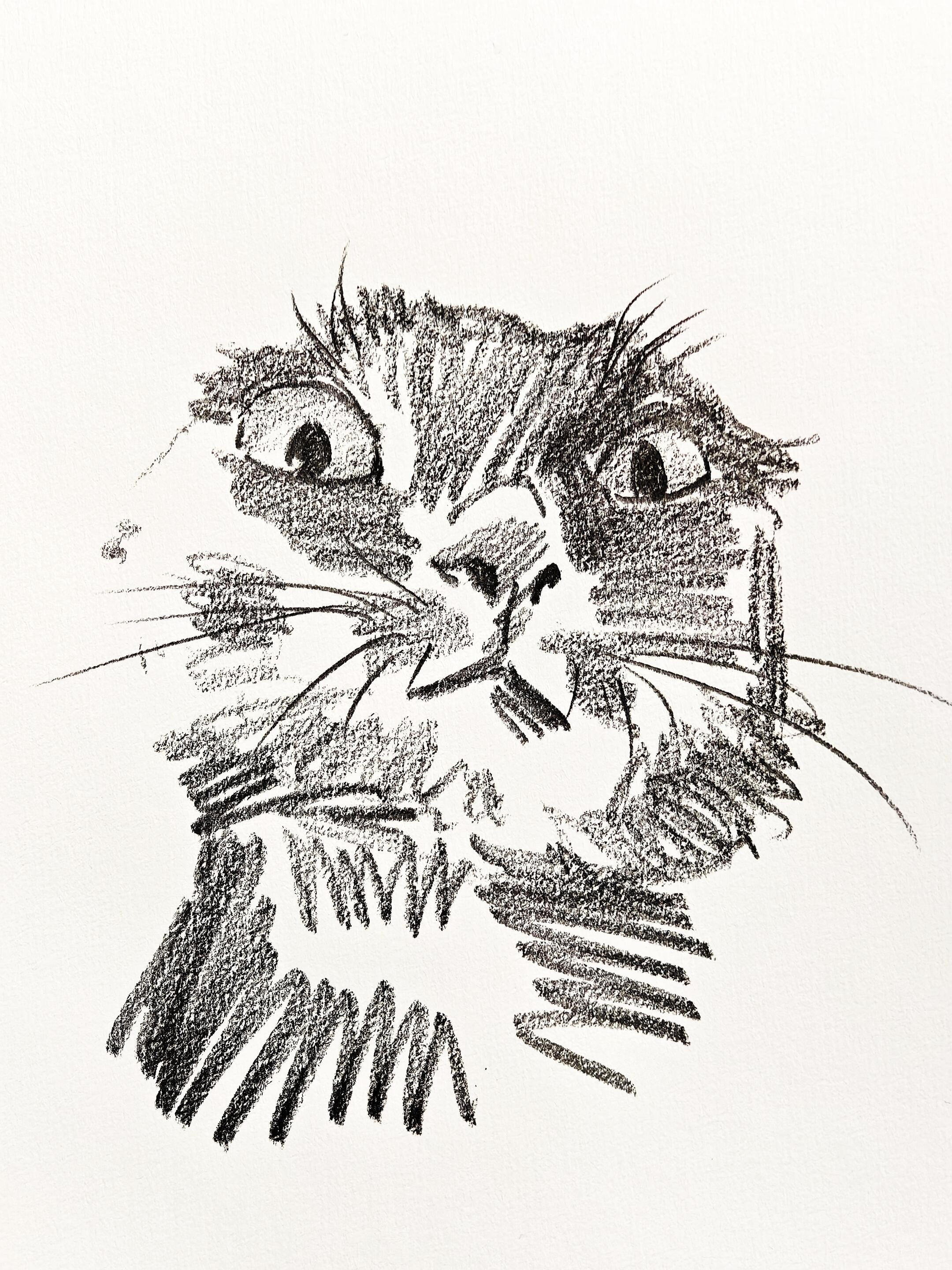 Nabi Sketchbook Collection - Original Hand-Drawn Cat Portraits