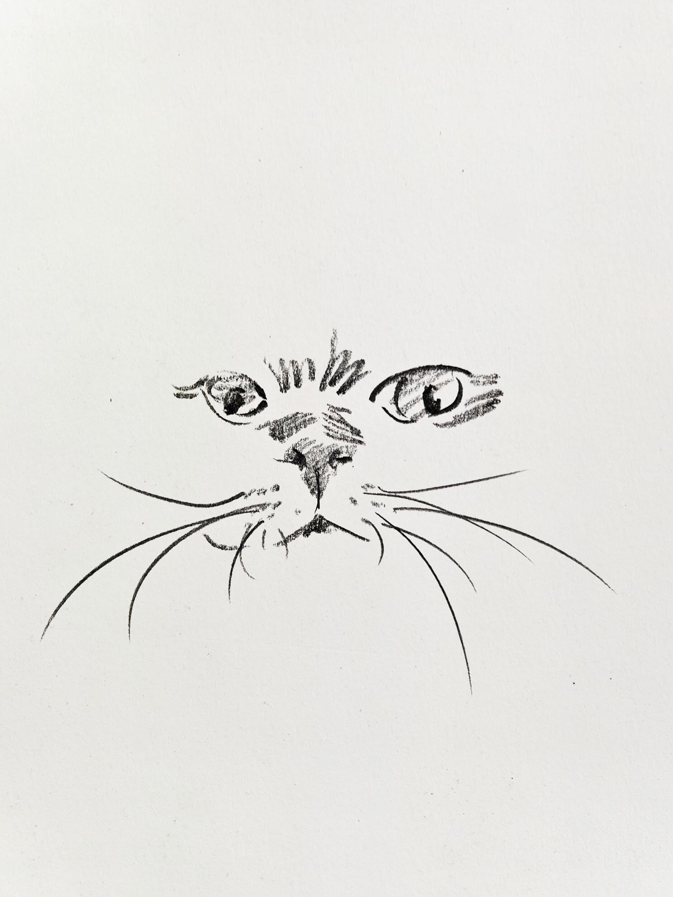 Cute Pet Portrait Collection + Basic Drawing Video Tutorials - Artist Rose